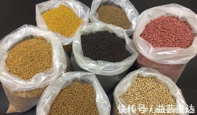 养殖|饵料要香甜可口,钓鱼才会好用别犯傻,这反而是个圈套