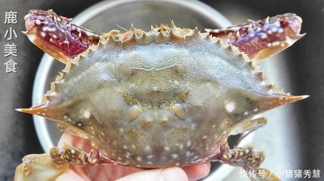 鱼贩|梭子蟹不会挑鱼贩教你挑蟹小技巧,保证新鲜肉肥,一挑一个准