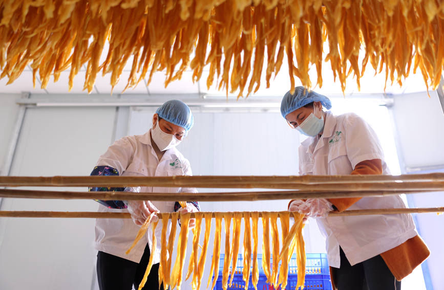 钦州|广西钦州：手工腐竹节前俏销市场