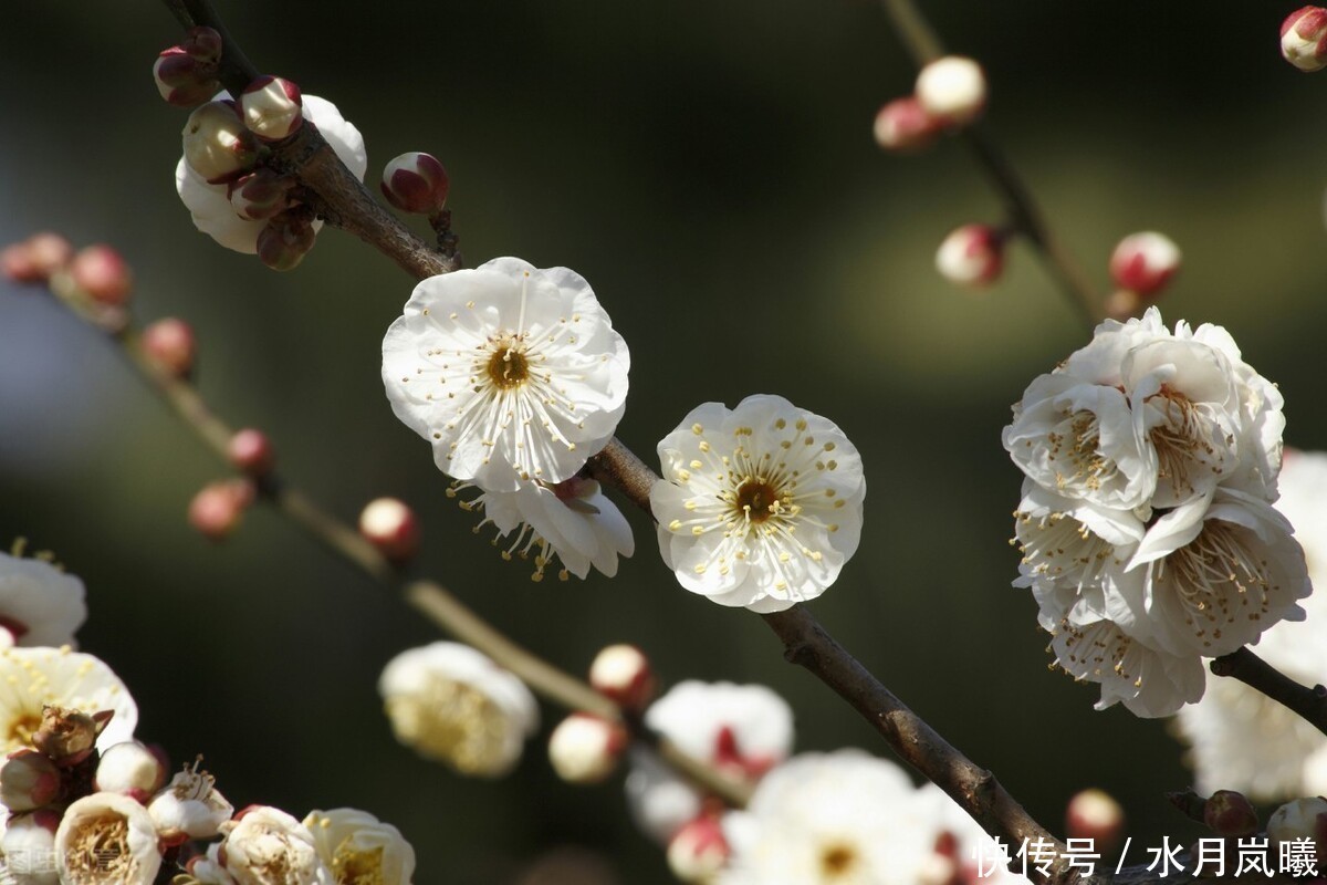些人|闲来静处,且将诗酒猖狂。唱一曲归来未晚,歌一调湖海茫茫