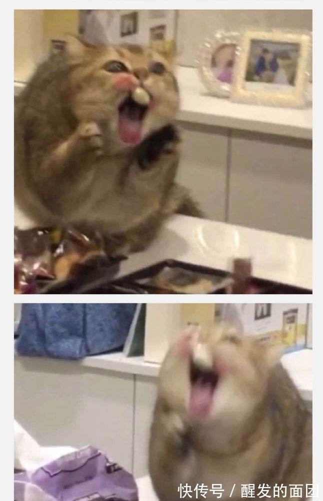 |你有哪些让人笑到肚子疼的搞笑图片?