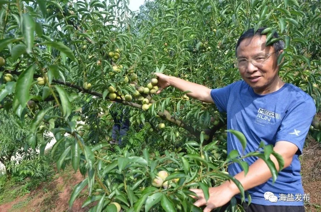 道德模范|敬业奉献！海盐人王金良获评浙江省道德模范！