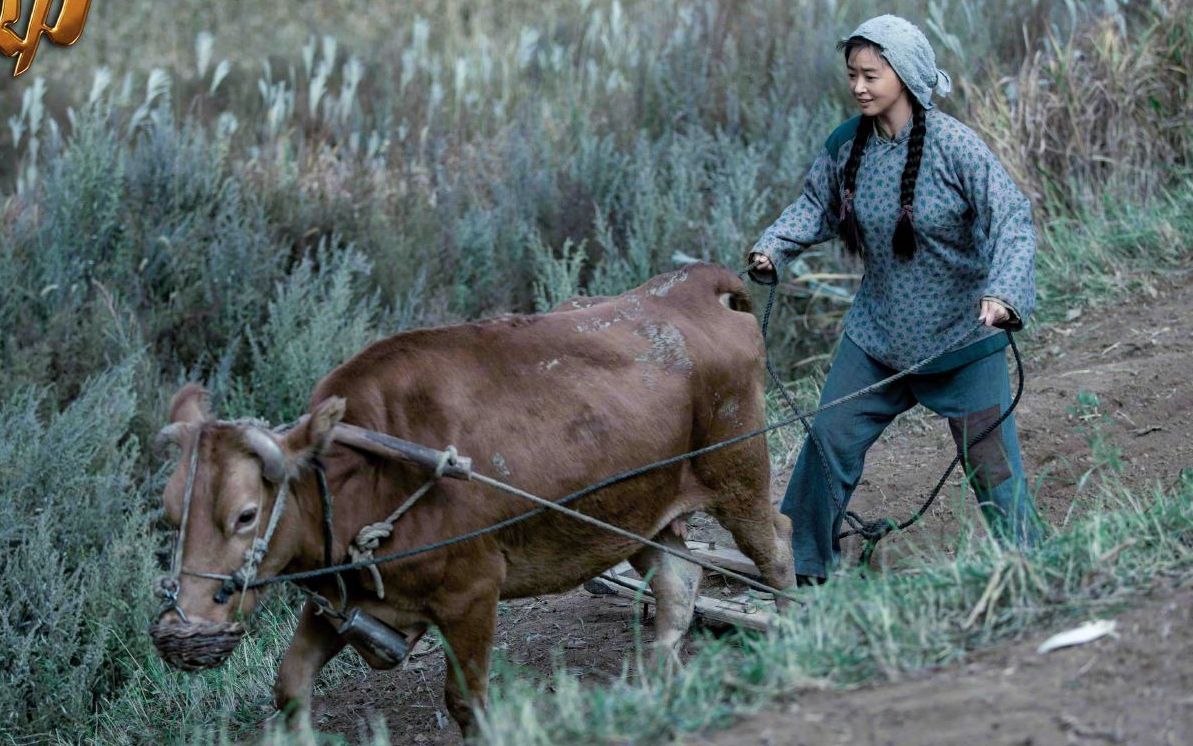 申纪兰的提案|拍《申纪兰的提案》，所有农活都是演员自己干丨《功勋》系列报道