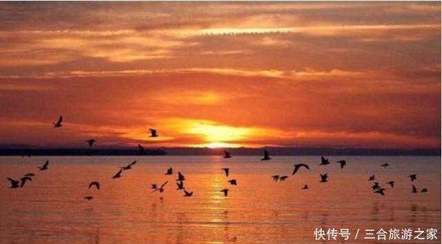 记忆力|掌握背古诗的3个原则,不仅孩子背的快记的牢,还促进大脑发育