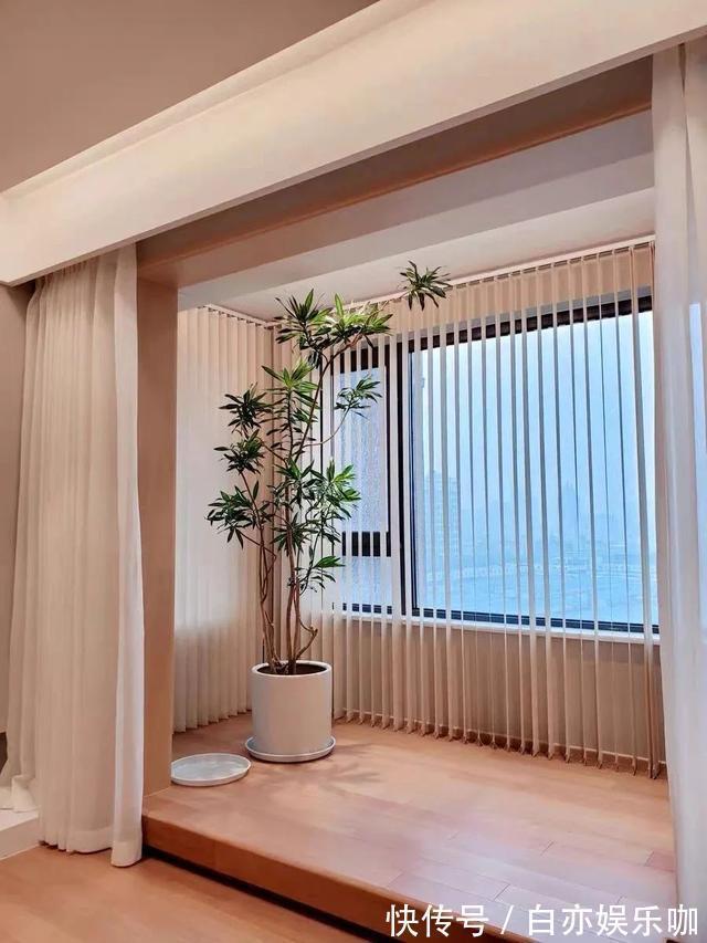 客厅|客厅养花就选这六种,寿命长、寓意好,省心又好养,你家养了几种