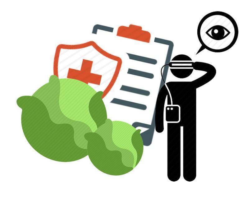 长时间|老花眼和近视可以互相抵消?这条热搜,医生有必要给大家泼冷水