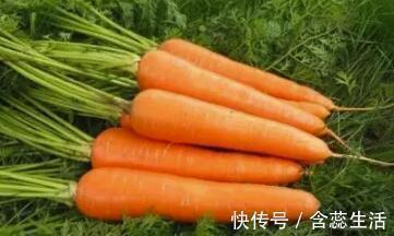 毒素|排尿黄,异味大可能是这些问题在作怪,别傻傻以为是上火了