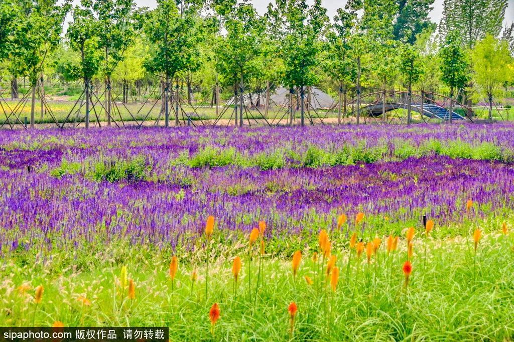 细“鼠”点滴:极不平凡的2020年,看完竟然默默流泪了!