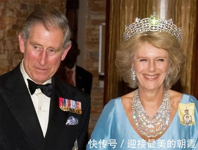 蛇形项链 卡米拉的蛇形项链20年前做情人时查尔斯送的,蛇蝎气质一目了然