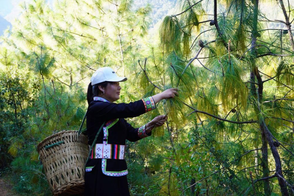  永胜倮倮文|初探云岭深处彝族倮倮支系民俗文化