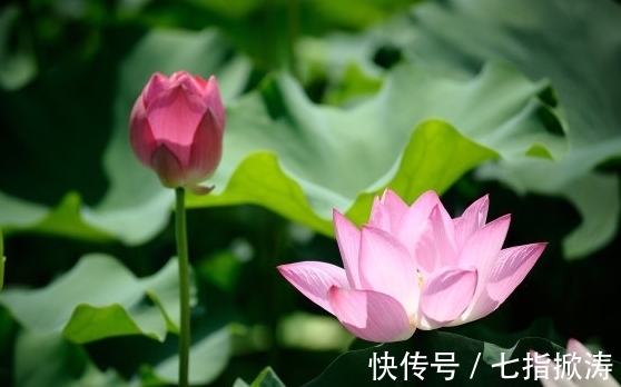 财源|步入8月上旬，4属相贵人相助，财源广进，生活蒸蒸日上