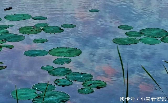 所有的犹豫不决,都为你的失败埋下伏笔