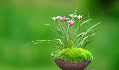 孝顺|出生在几点钟的孩子,智商高,长大后孝顺又有出息,光宗耀祖