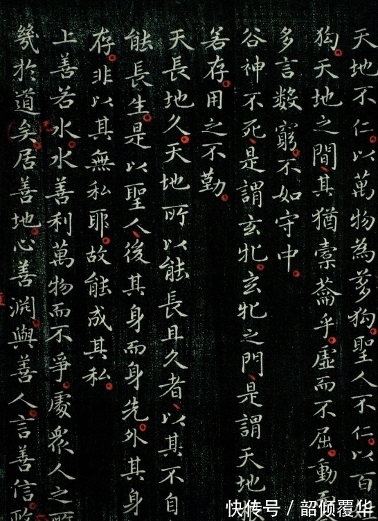 道德经!王羲之《道德经》在哈佛大学发现,5600多字,一字不缺,字字精美