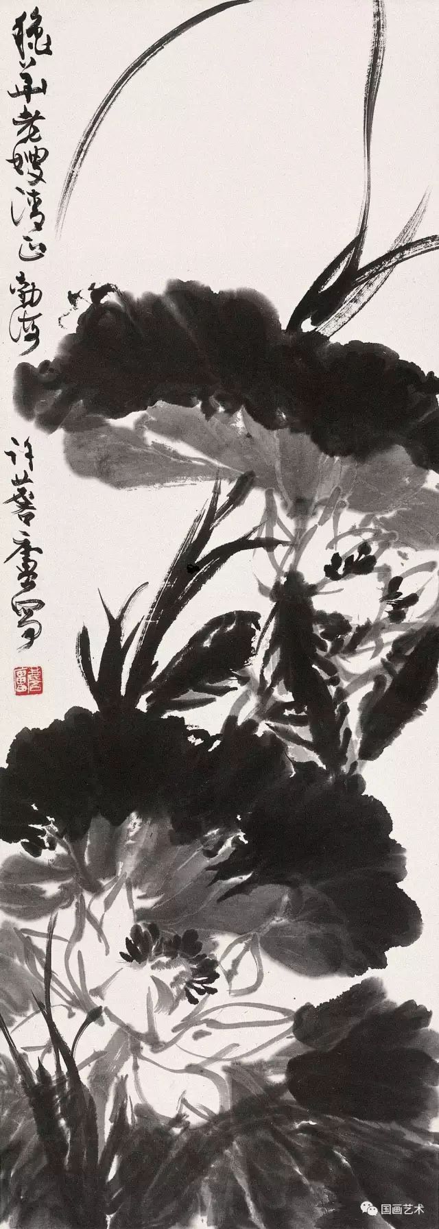 吴昌硕|许麟庐 写意花鸟画欣赏