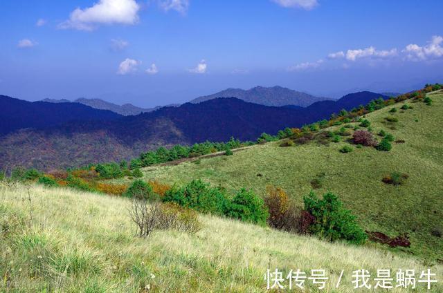 外公|三胎政策放开，看看带娃的主力军是怎么说的，一起来了解一下