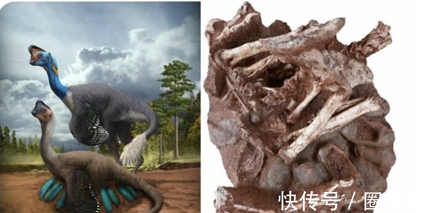 迈克尔杰克逊@“活久未见”的28张照片,相当涨姿势