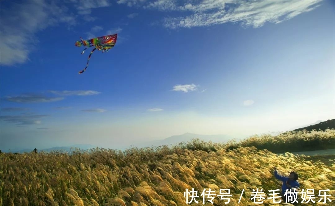 秋色|这几处温州秋日登高必去的山峰，每一寸秋色都很撩人！