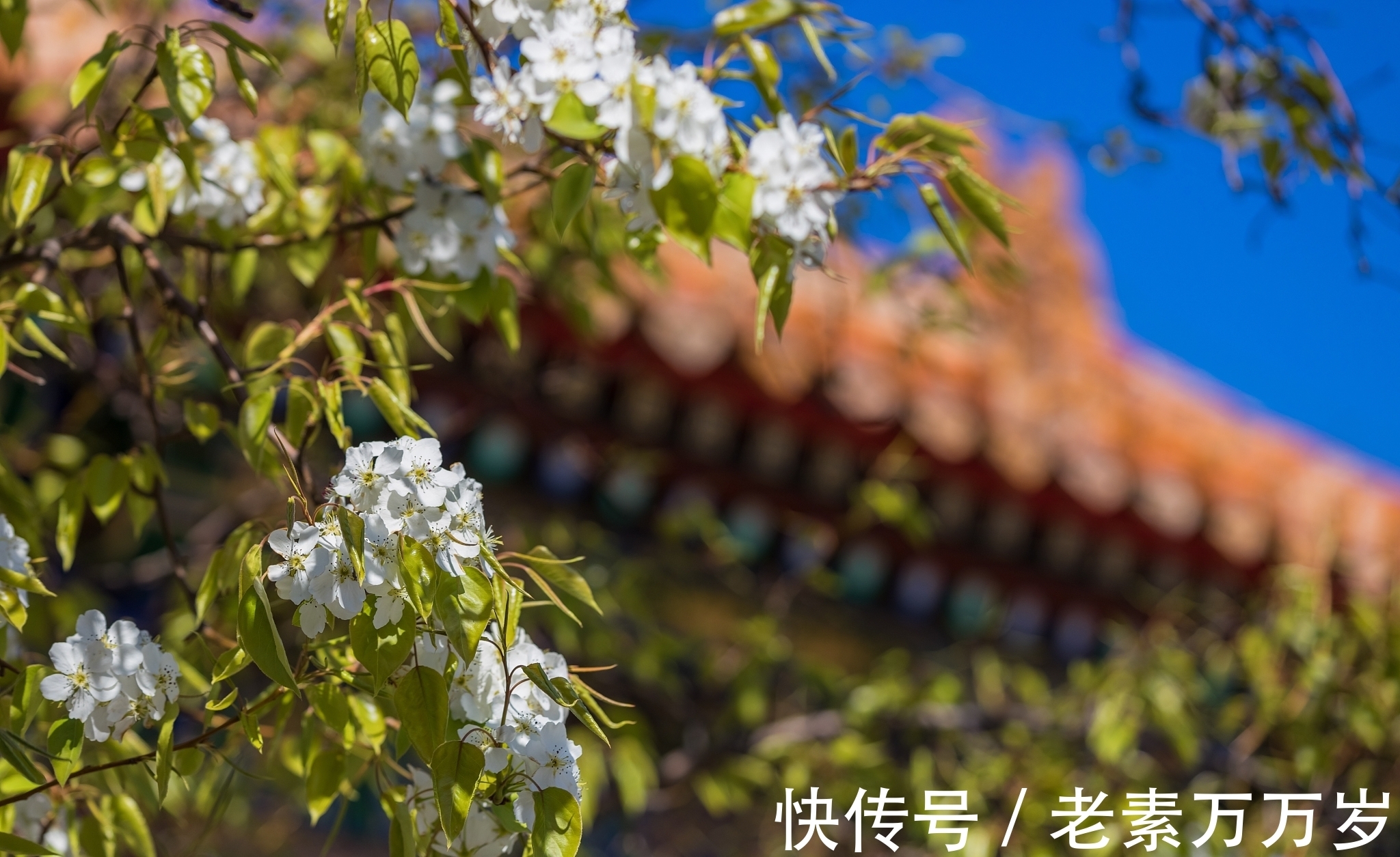 一日三餐&有些能力,只有读书能给你