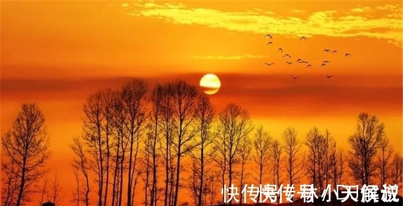 秋景!寒露,在诗词中感受凉凉的秋意,赏析范仲淹的千古名篇《苏幕遮》