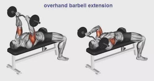 弯杆|最全的肱二三头肌训练图解,漂亮手臂必备!