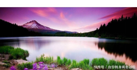 精明的最高境界是笨拙!