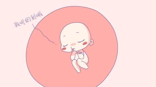 宝宝|除了睡觉,胎宝宝每天在妈妈肚子里都干些啥看了N遍,太可爱了