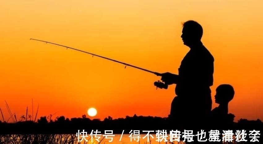 竿尖|怎么也没料到,热天用这两种钓法“招待”鲫鲤鱼,鱼获多到拎不动