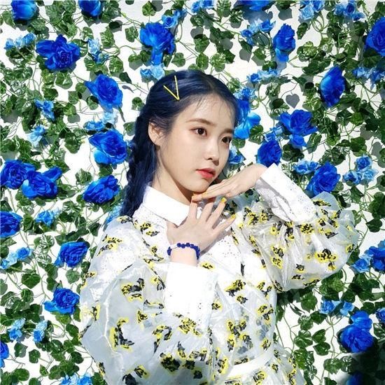 Iu大谈染蓝发原因自豪每周染发头皮仍健康 快资讯