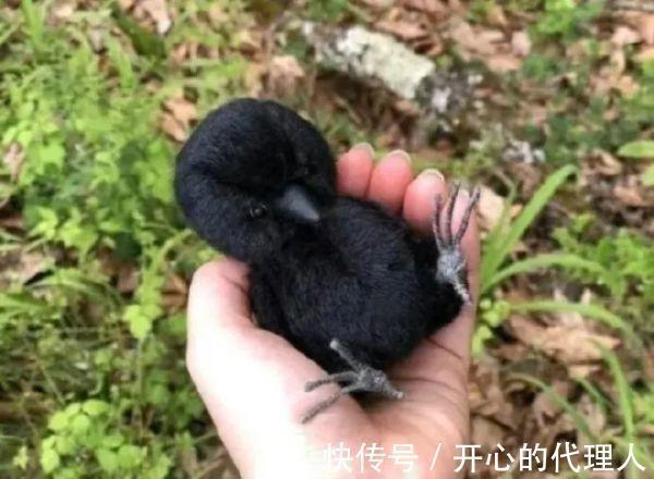 |内涵段子|别人家的女朋友宽松T恤下都藏着什么?