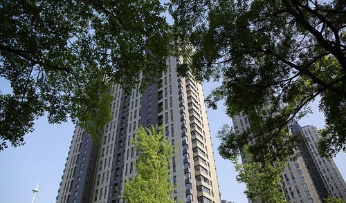 顶楼|不会选楼层?建筑学家:一栋楼不管多少层,这3层都属于黄金楼层