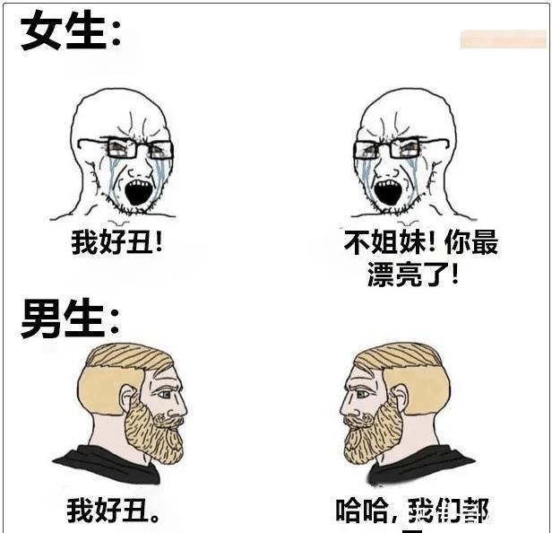 橘子树|“一棵自律的橘子树有多可怕……”哈哈哈可这不符合力学啊!