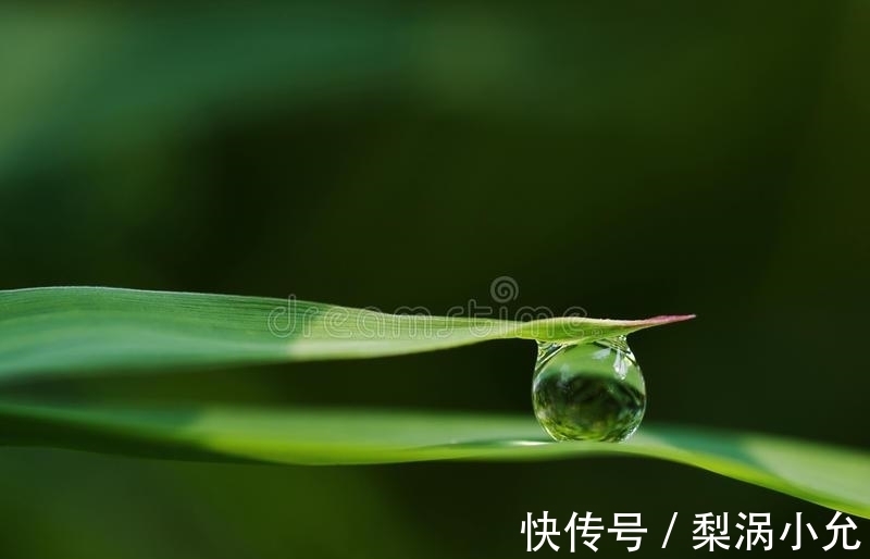 诗意|风起绿烟，水墨沉香，谁的月白风清，瘦尽诗意年华