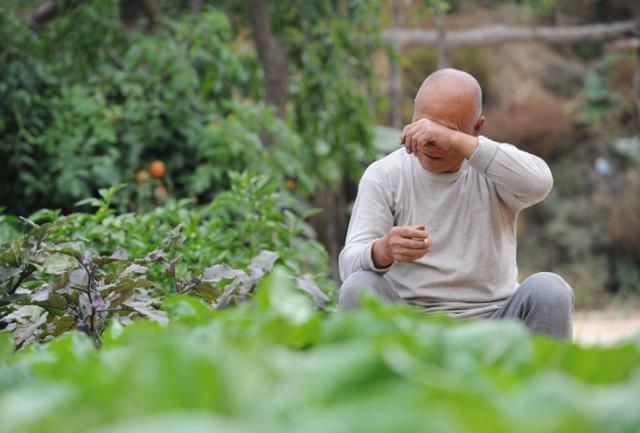 孩子长大后是否“不孝”，就看他平时有没有说这五句话，很准的