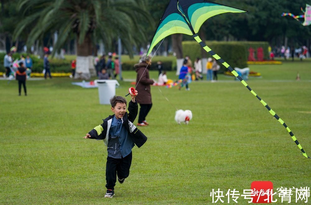 海口万绿园：喜上枝头春意闹 立春时节踏青欢|组图 | 海口市