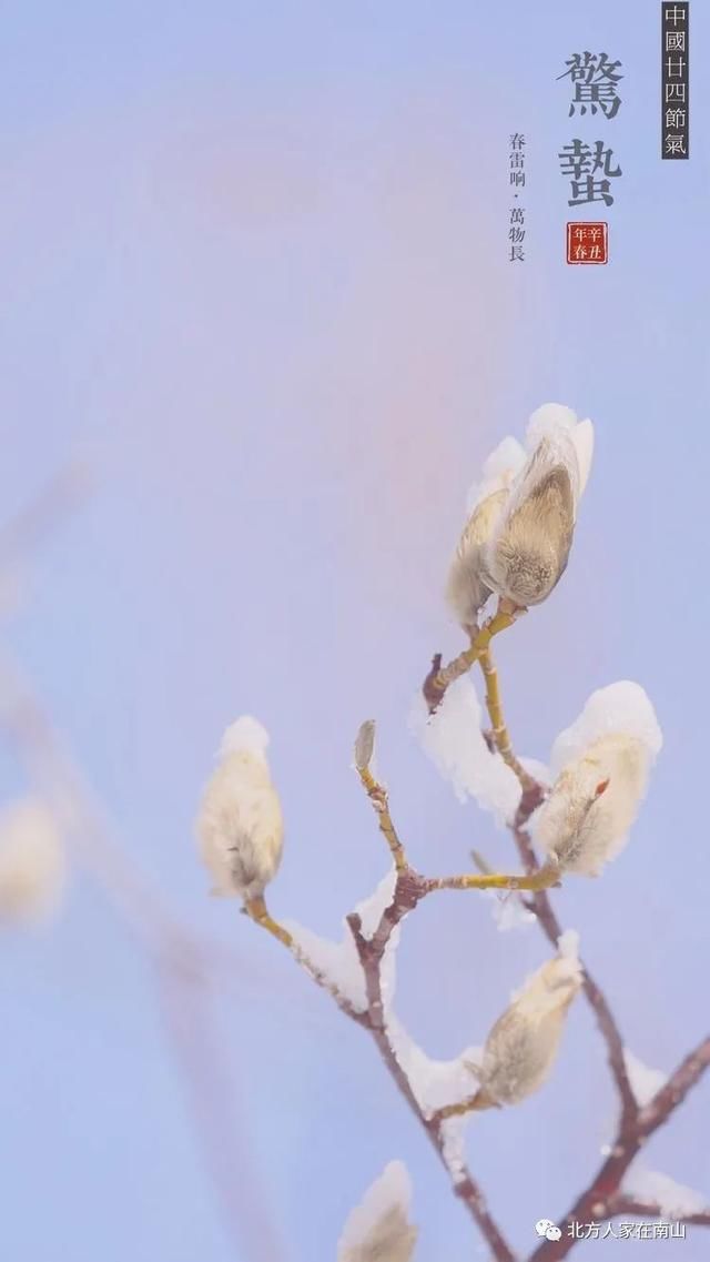 【惊蛰】送你一片春暖花开