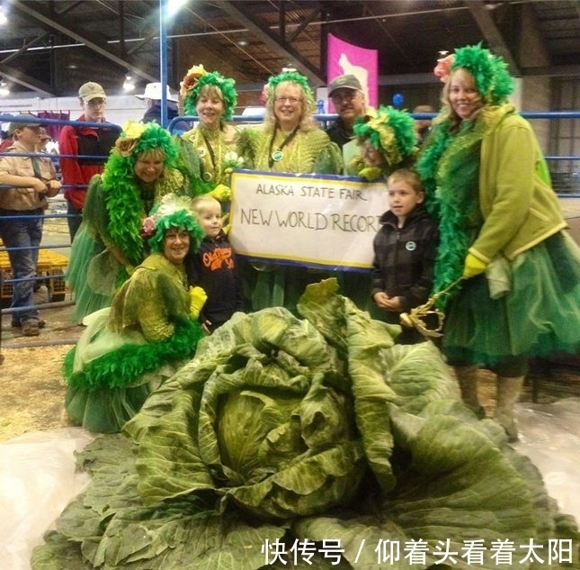 博物馆|全球最奇葩的6个博物馆,你听过几个?