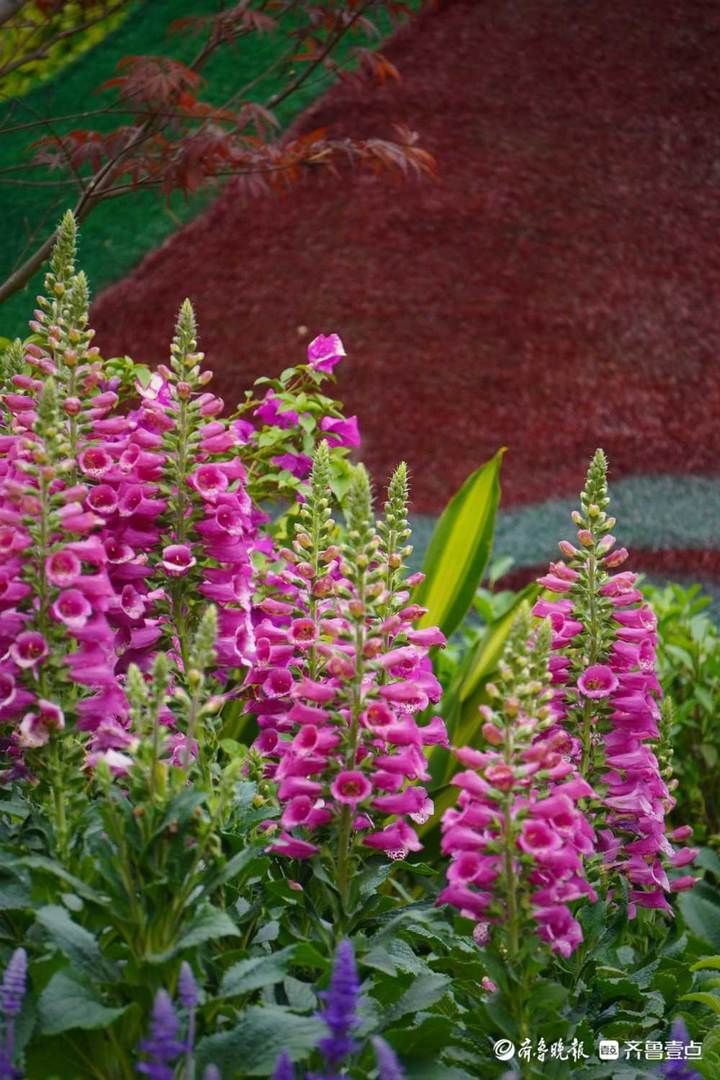 每日最佳情报｜今年第一次超级月亮来啦！恭喜壹粉喜提红包