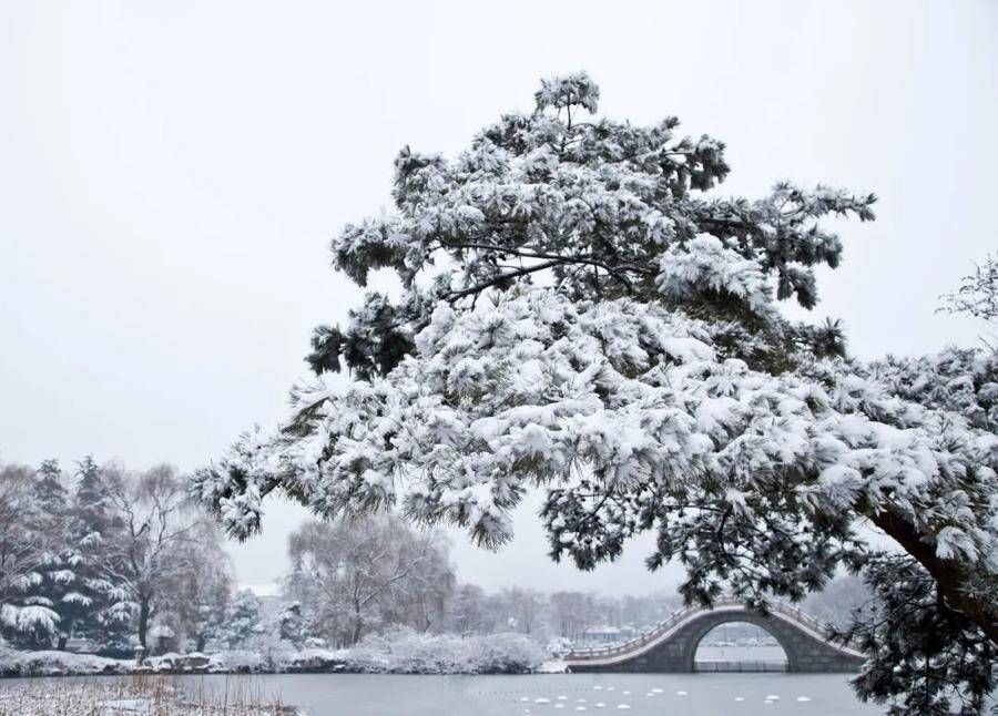 初雪中的济南南郊宾馆|镜头下 | 初雪