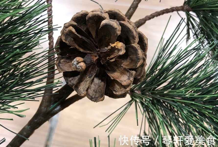 养花|松树三宝：松果壳、松针、松树皮，拿来养花，各有妙用