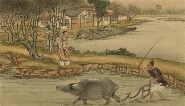 包青天&一老农的牛被人割掉舌头,包拯:回去把牛宰了,凶手就会前来投案