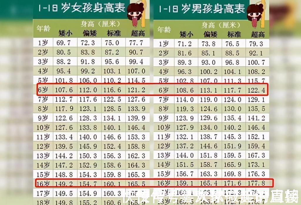 王爸爸|新版“儿童身高标准”出炉，6岁前男女差距不大，16岁差距10厘米