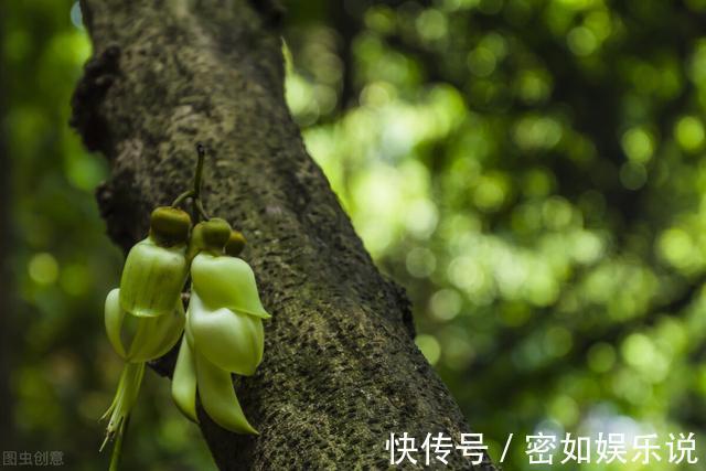 守信|一个有教养的人，总会在这四个方面做得很好