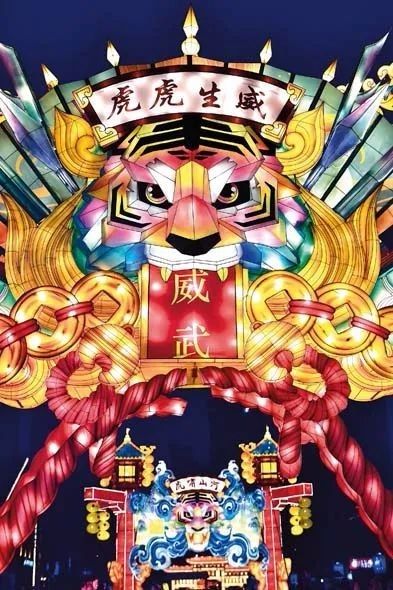 爱虎$从猛虎到“萌虎”，中国人为什么爱虎？