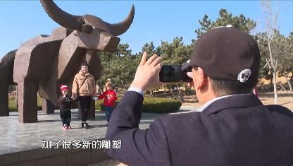 花开|迎春花开 欢度安静祥和年
