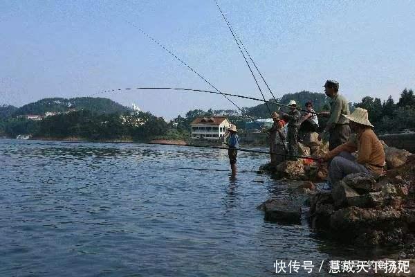 入侵|这2种鱼已成功“入侵”我国，吃货也束手无策，钓到该如何处理