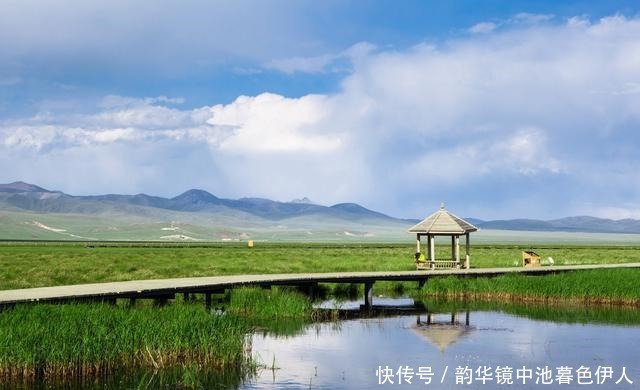 花湖|甘川边界的仙境小县，温度不到20℃，7月花开成海