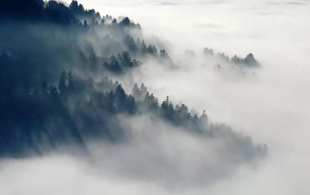 最美|诗词丨史上最美的8首短诗,首首经典,谁读了都会心醉