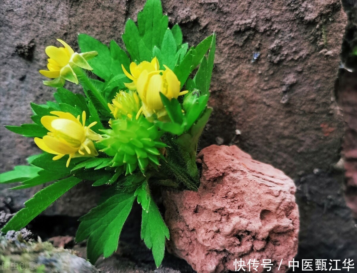 成功|感染肾病多年,从失望到希望,直到成功摆脱肾病,你也可以