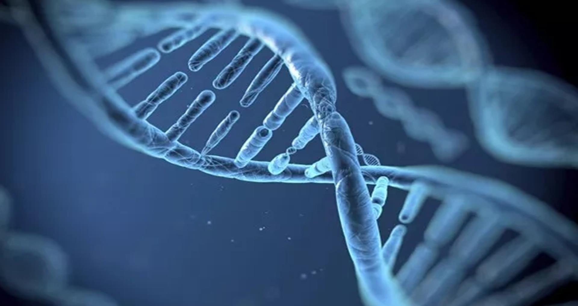 长高|你有孩子比同龄人矮一截的烦恼吗?孩子长高,来个专业分析